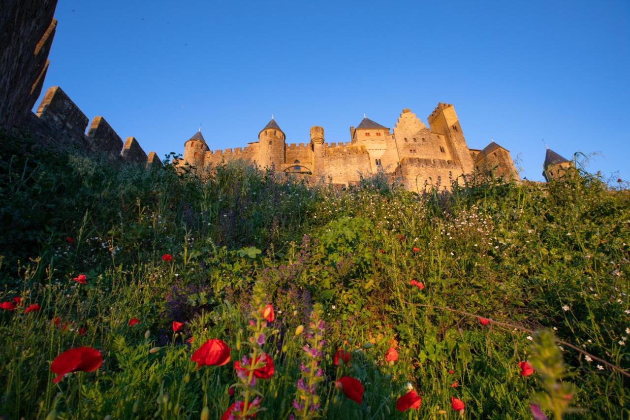 Tout Confort ! Calme, Climatisation, Parking Gratuit, Grande Terrasse, Ascenseur, Wifi Carcassonne Eksteriør billede