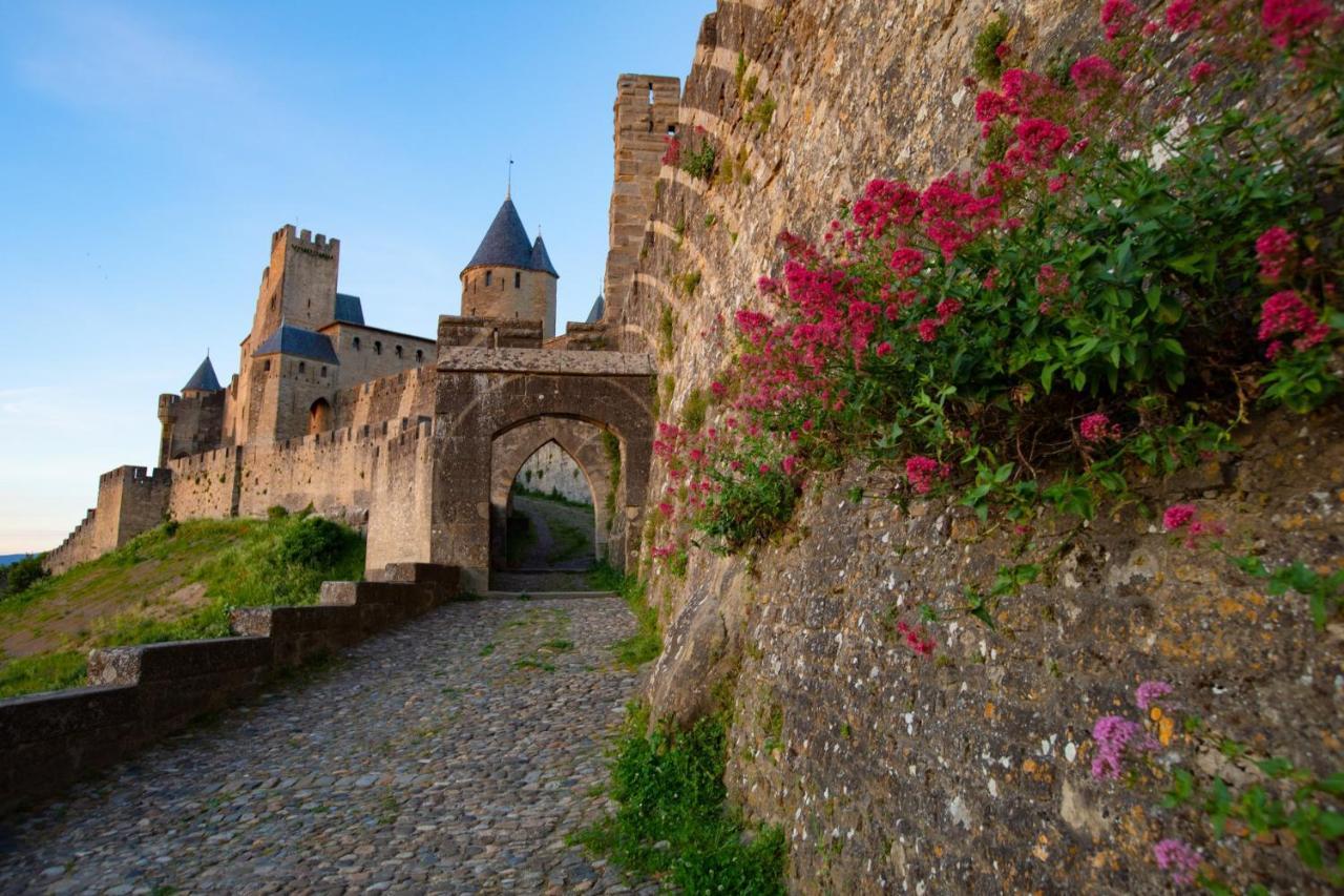 Tout Confort ! Calme, Climatisation, Parking Gratuit, Grande Terrasse, Ascenseur, Wifi Carcassonne Eksteriør billede