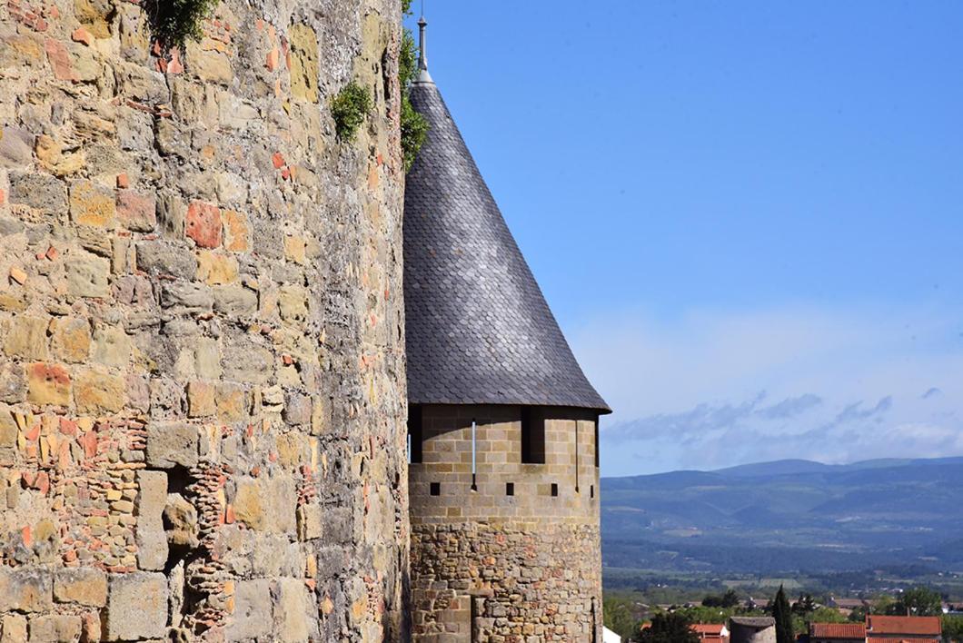 Tout Confort ! Calme, Climatisation, Parking Gratuit, Grande Terrasse, Ascenseur, Wifi Carcassonne Eksteriør billede