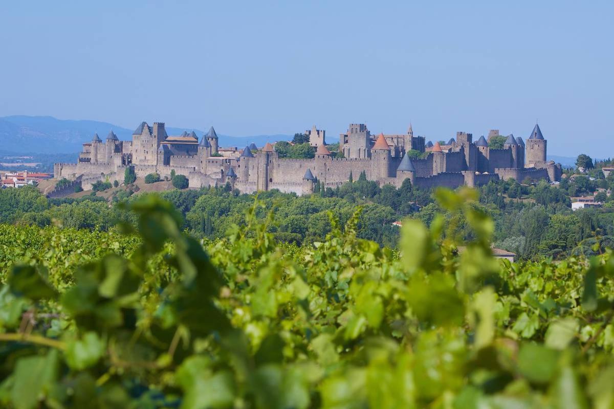 Tout Confort ! Calme, Climatisation, Parking Gratuit, Grande Terrasse, Ascenseur, Wifi Carcassonne Eksteriør billede