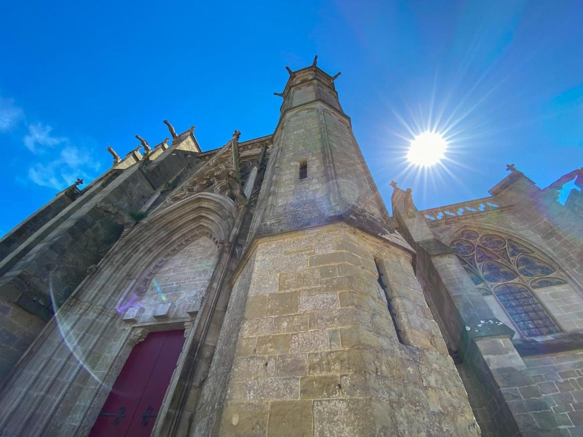 Tout Confort ! Calme, Climatisation, Parking Gratuit, Grande Terrasse, Ascenseur, Wifi Carcassonne Eksteriør billede