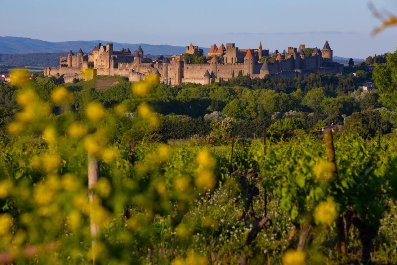 Tout Confort ! Calme, Climatisation, Parking Gratuit, Grande Terrasse, Ascenseur, Wifi Carcassonne Eksteriør billede
